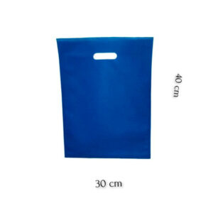 BOLSA EXPO AZUL REY